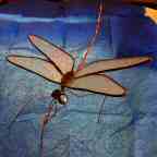 Clear Iridescent Dragonfly ‘Crystal Ice’ glass and copper