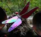 "Red Iridescent Dragonfly" glass and copper